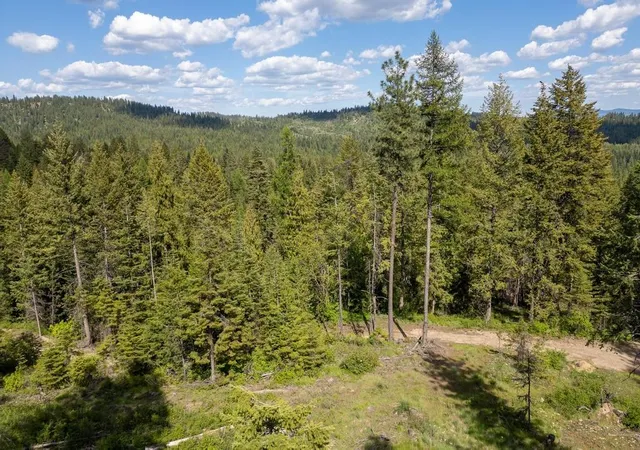 1st image of 270 Lupine Ln, Newport, WA 99156 | MLS# 202620389