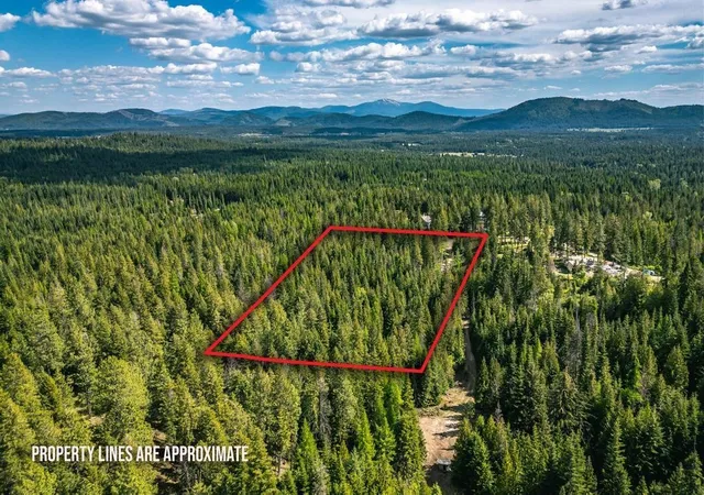 3rd image of 270 Lupine Ln, Newport, WA 99156 | MLS# 202620389