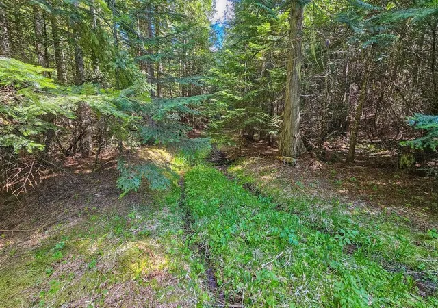 5th image of 270 Lupine Ln, Newport, WA 99156 | MLS# 202620389