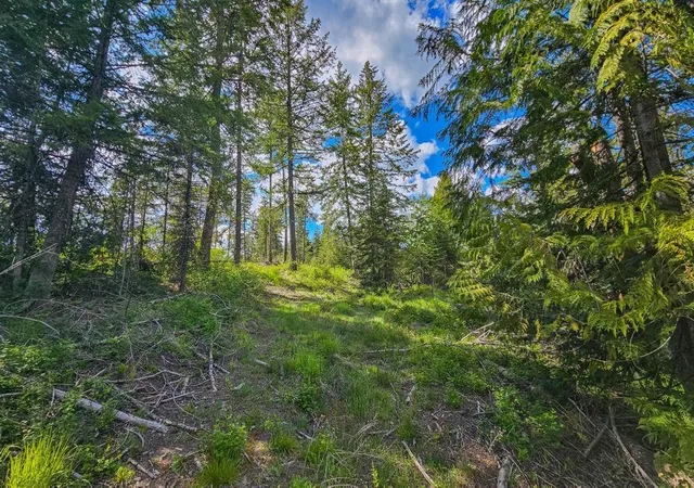 9th image of 270 Lupine Ln, Newport, WA 99156 | MLS# 202620389