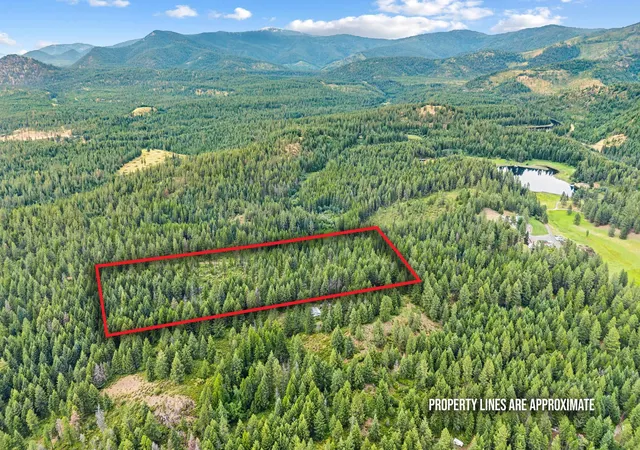 1st image of 432x Bussard Lake Rd, Loon Lake, WA 99148 | MLS# 202620402