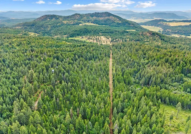 2nd image of 432x Bussard Lake Rd, Loon Lake, WA 99148 | MLS# 202620402