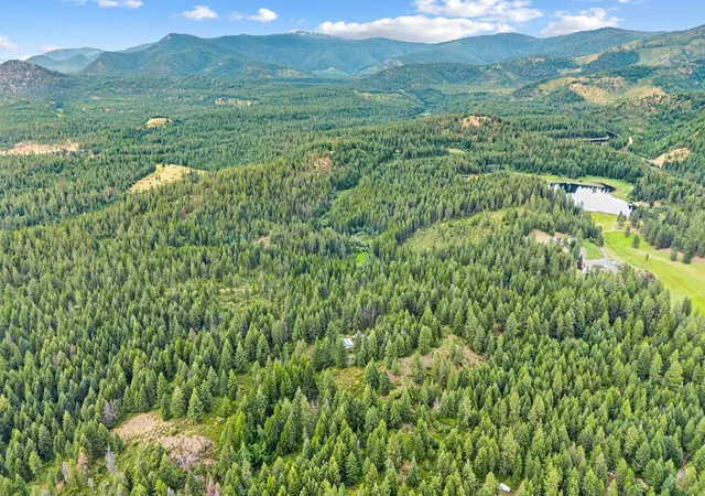 Photo 3 of Land for sale at 432x Bussard Lake Rd, Loon Lake, WA 99148 | MLS# 202620402 | Listing updated on 2026-08-10