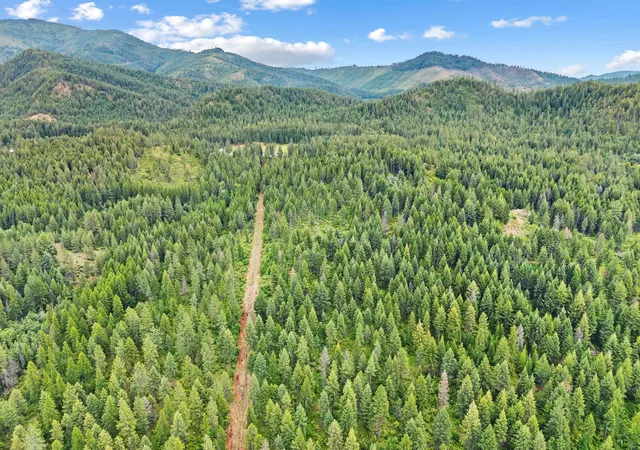 35th image of 432x Bussard Lake Rd, Loon Lake, WA 99148 | MLS# 202620402
