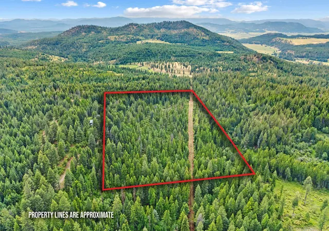 Photo 3 of Land for sale at 432x Bussard Lake Rd, Loon Lake, WA 99148 | MLS# 202620402 | Listing updated on 2026-08-10
