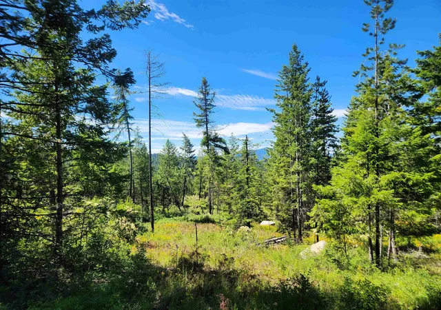 1st image of 1492 Portrait Wy, Colville, WA 99114 | MLS# 202620414