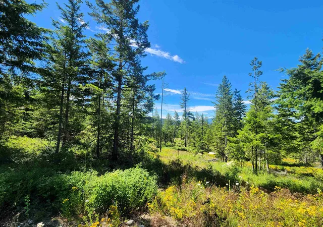 4th image of 1492 Portrait Wy, Colville, WA 99114 | MLS# 202620414