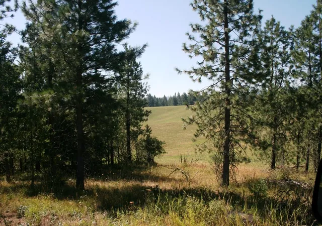 Homes for sale in Springdale, WA | 5203 Olinger Rd, Springdale, WA 99173 | MLS# 202620415