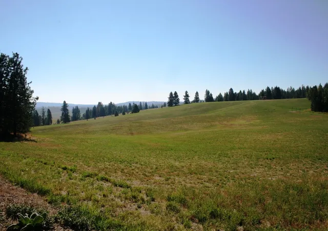 Homes for sale in Springdale, WA | 5203 Olinger Rd, Springdale, WA 99173 | MLS# 202620415
