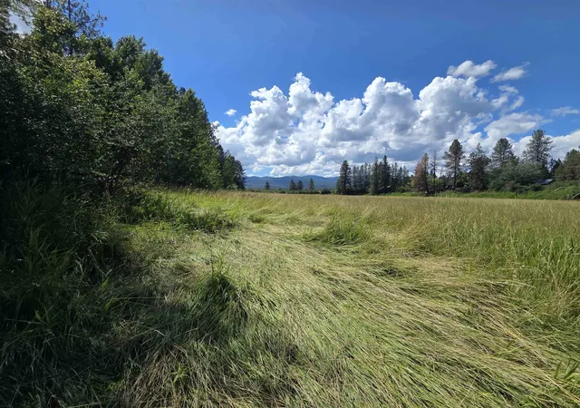 Homes for sale in Cusick, WA | Nka Hwy 20 Hwy, Cusick, WA 99119 | MLS# 202620425