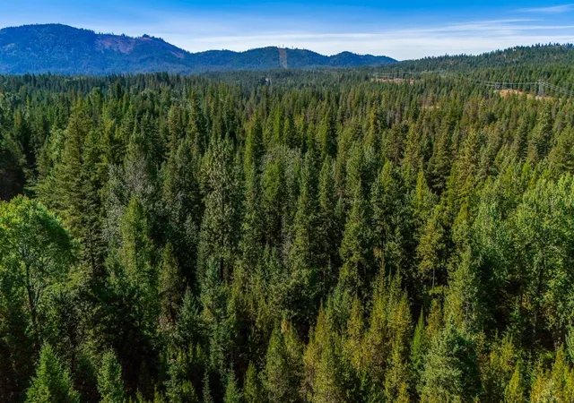 Photo 3 of Single family home for sale at 1770 Highway 211, Newport, WA 99156 | MLS# 202620462 | Listing updated on 2026-07-13