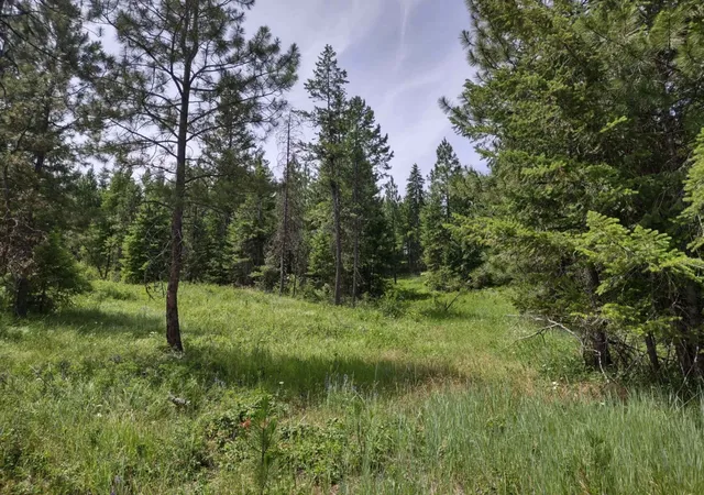 Photo 1 of Land for sale at Xx Springdale Hunters Hwy, Springdale, WA 99173 | MLS# 202620515 | Listing updated on 2026-07-17