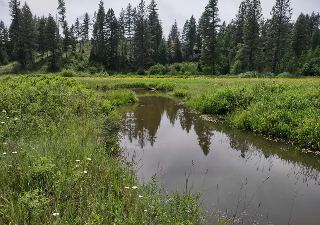 Photo 2 of Land for sale at Xx Springdale Hunters Hwy, Springdale, WA 99173 | MLS# 202620515 | Listing updated on 2026-07-17