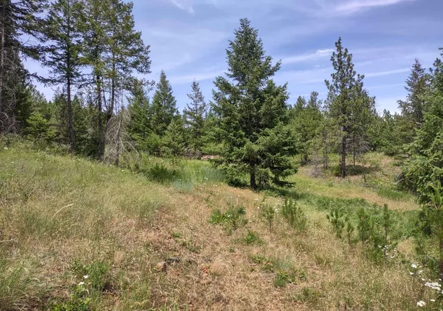 Photo 3 of Land for sale at Xx Springdale Hunters Hwy, Springdale, WA 99173 | MLS# 202620515 | Listing updated on 2026-07-17