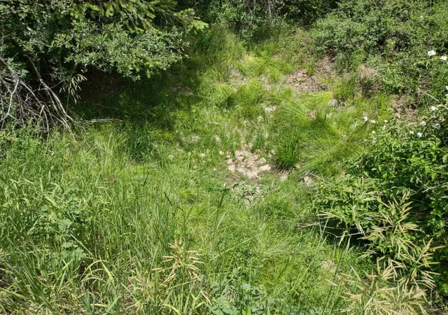 Photo 4 of Land for sale at Xx Springdale Hunters Hwy, Springdale, WA 99173 | MLS# 202620515 | Listing updated on 2026-07-17