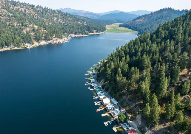 Homes for sale in Loon Lake, WA | 46999 E Deer Lake Wy, Loon Lake, WA 99148 | MLS# 202620533
