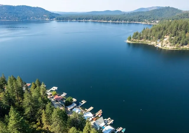 Homes for sale in Loon Lake, WA | 46999 E Deer Lake Wy, Loon Lake, WA 99148 | MLS# 202620533