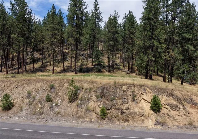 Homes for sale in Nine Mile Falls, WA | 11xxx Nine Mile Rd, Nine Mile Falls, WA 99026 | MLS# 202620548