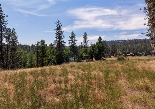Homes for sale in Nine Mile Falls, WA | 11Xxx Nine Mile Rd, Nine Mile Falls, WA 99026 | MLS# 202620548