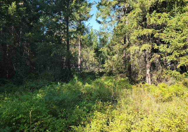 1st image of 612 Overlook Dr, Newport, WA 99156 | MLS# 202620574