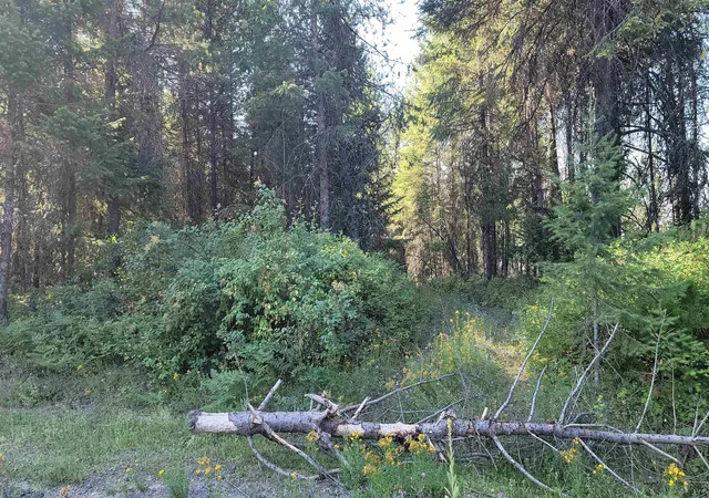 3rd image of 612 Overlook Dr, Newport, WA 99156 | MLS# 202620574