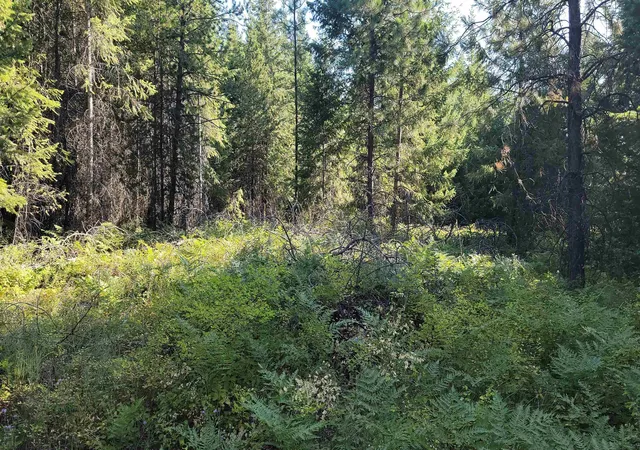5th image of 612 Overlook Dr, Newport, WA 99156 | MLS# 202620574