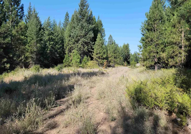 1st image of 642 Overlook Dr, Newport, WA 99156 | MLS# 202620575