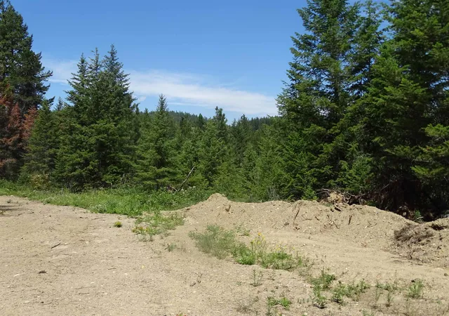 Homes for sale in Loon Lake, WA | 4482 Old E Springdale Rd, Loon Lake, WA 99148 | MLS# 202620585