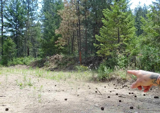 Homes for sale in Loon Lake, WA | 4482 Old E Springdale Rd, Loon Lake, WA 99148 | MLS# 202620585