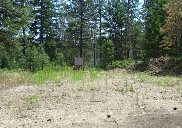 Homes for sale in Loon Lake, WA | 4482 Old E Springdale Rd, Loon Lake, WA 99148 | MLS# 202620585