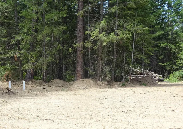 Homes for sale in Loon Lake, WA | 4482 Old E Springdale Rd, Loon Lake, WA 99148 | MLS# 202620585