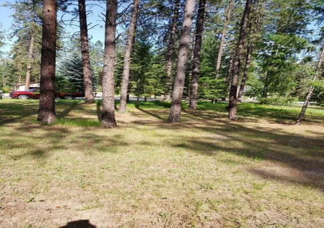 2nd image of 256 Eagle Dr, Chewelah, WA 99109 | MLS# 202620683