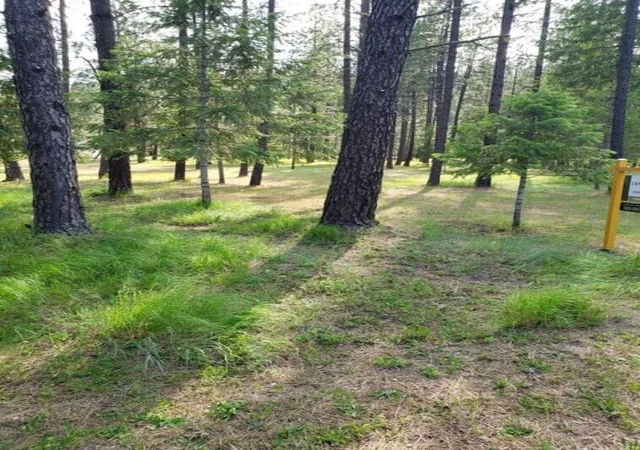 4th image of 256 Eagle Dr, Chewelah, WA 99109 | MLS# 202620683