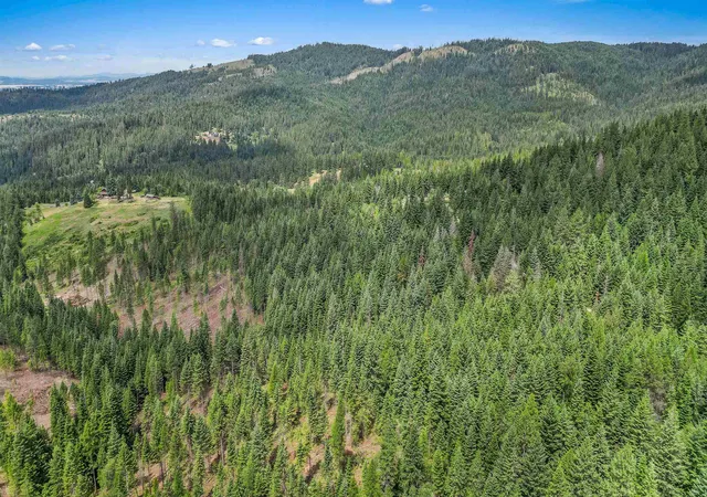Homes for sale in Mead, WA | Xxx N Deer Ln, Mead, WA 99021 | MLS# 202620697