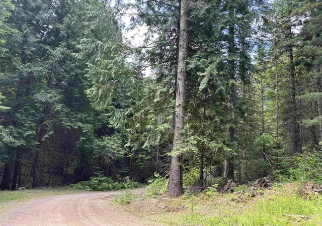 Homes for sale in Mead, WA | Xxx N Deer Ln, Mead, WA 99021 | MLS# 202620697