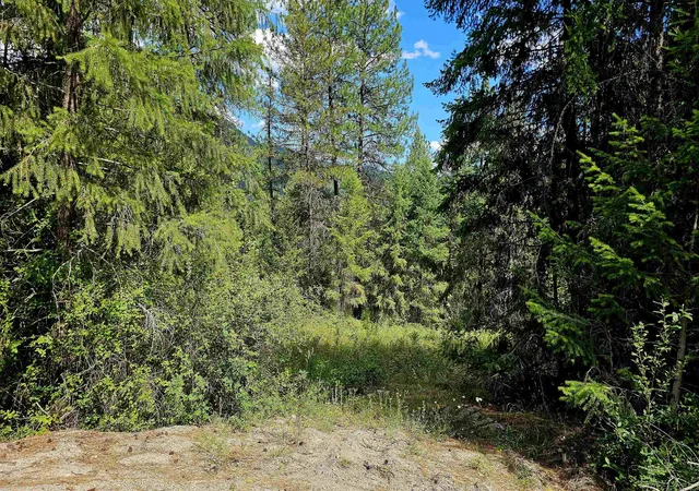 Photo 1 of Land for sale at 10 Humes Rd, Kettle Falls, WA 99141 | MLS# 202620700 | Listing updated on 2026-07-16