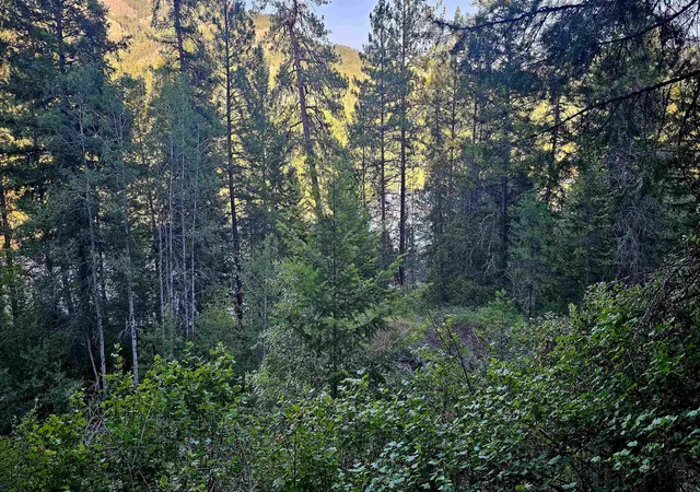 Photo 2 of Land for sale at 10 Humes Rd, Kettle Falls, WA 99141 | MLS# 202620700 | Listing updated on 2026-07-16