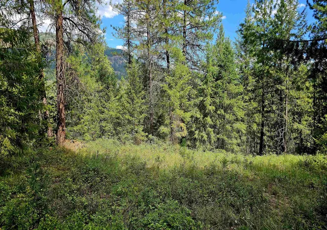 Photo 3 of Land for sale at 10 Humes Rd, Kettle Falls, WA 99141 | MLS# 202620700 | Listing updated on 2026-07-16