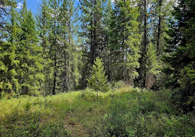 Photo 3 of Land for sale at 10 Humes Rd, Kettle Falls, WA 99141 | MLS# 202620700 | Listing updated on 2026-07-16