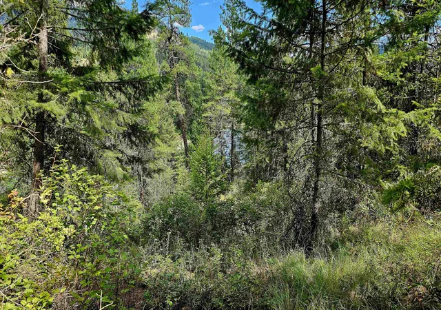 Photo 4 of Land for sale at 10 Humes Rd, Kettle Falls, WA 99141 | MLS# 202620700 | Listing updated on 2026-07-16