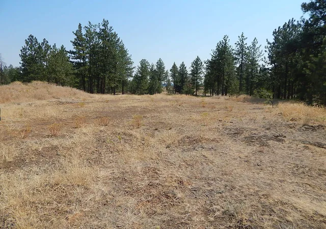 Homes for sale in Reardan, WA | 249014 W Kitt Rd, Reardan, WA 99029 | MLS# 202620704