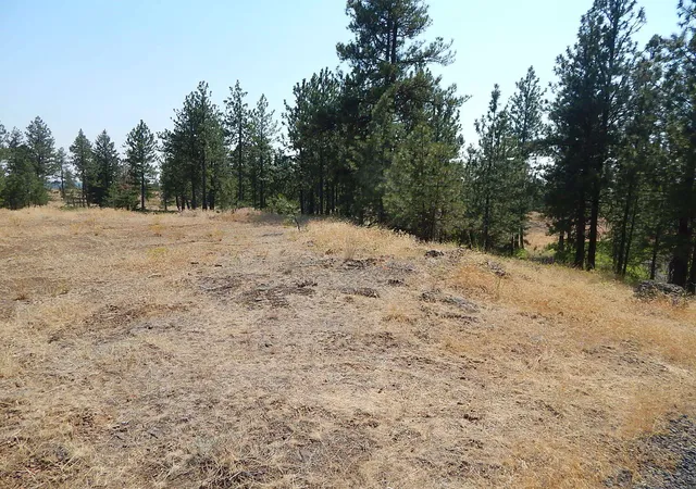 Homes for sale in Reardan, WA | 249014 W Kitt Rd, Reardan, WA 99029 | MLS# 202620704