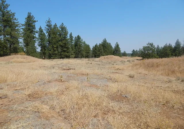 Homes for sale in Reardan, WA | 249014 W Kitt Rd, Reardan, WA 99029 | MLS# 202620704