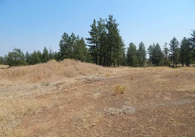Homes for sale in Reardan, WA | 249014 W Kitt Rd, Reardan, WA 99029 | MLS# 202620704