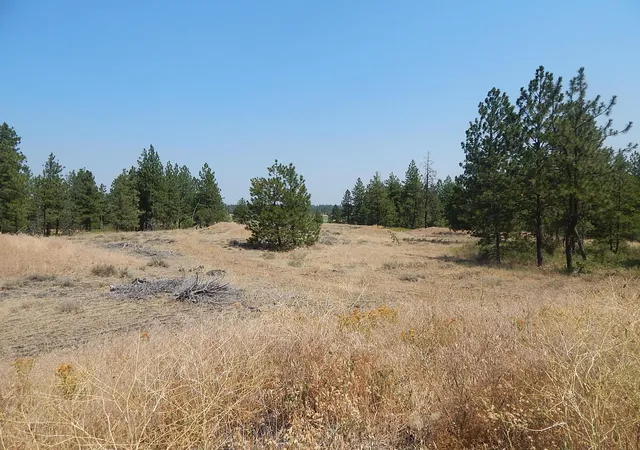 Homes for sale in Reardan, WA | 249014 W Kitt Rd, Reardan, WA 99029 | MLS# 202620704
