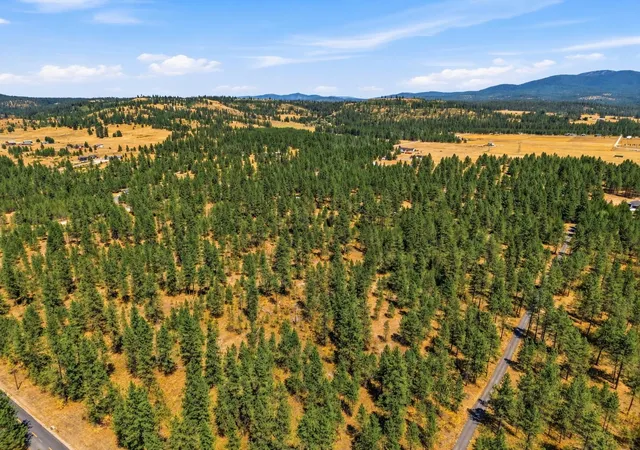 Land for sale at 0 E Owens Rd, Chattaroy, WA 99003 | MLS# 202620803