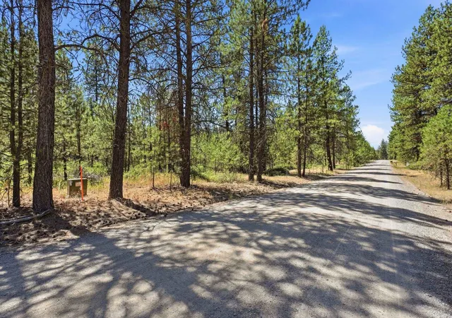 2nd image of 0 E Owens Rd, Chattaroy, WA 99003 | MLS# 202620803
