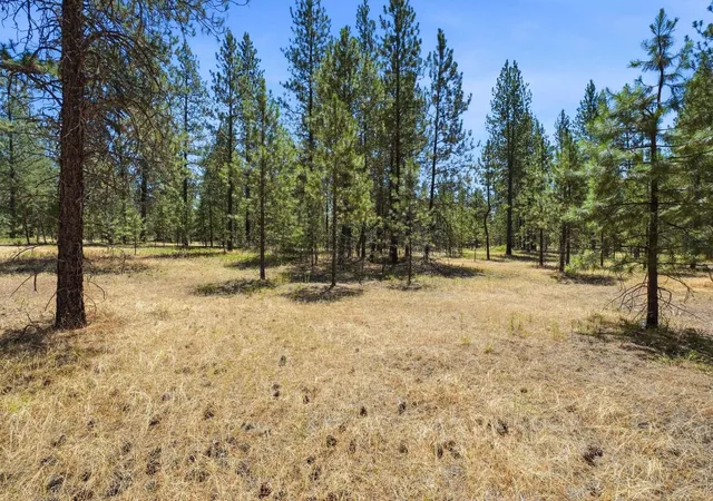 Photo 3 of Land for sale at 0 E Owens Rd, Chattaroy, WA 99003 | MLS# 202620803 | Listing updated on 2026-08-26