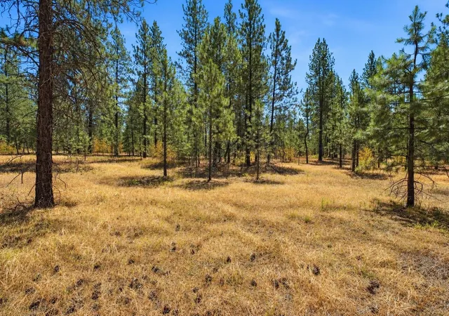 Photo 3 of Land for sale at 0 E Owens Rd, Chattaroy, WA 99003 | MLS# 202620803 | Listing updated on 2026-10-22