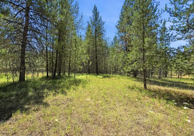 Photo 3 of Land for sale at 0 E Owens Rd, Chattaroy, WA 99003 | MLS# 202620803 | Listing updated on 2026-08-26